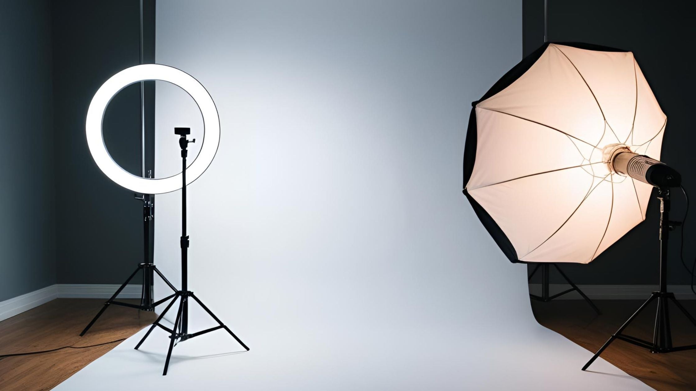 Ring Light vs. Softbox: Which One is Right for You?