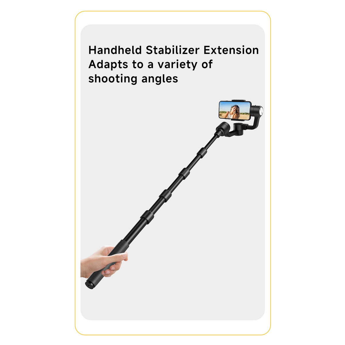 Old Shark T61 Extension Pole