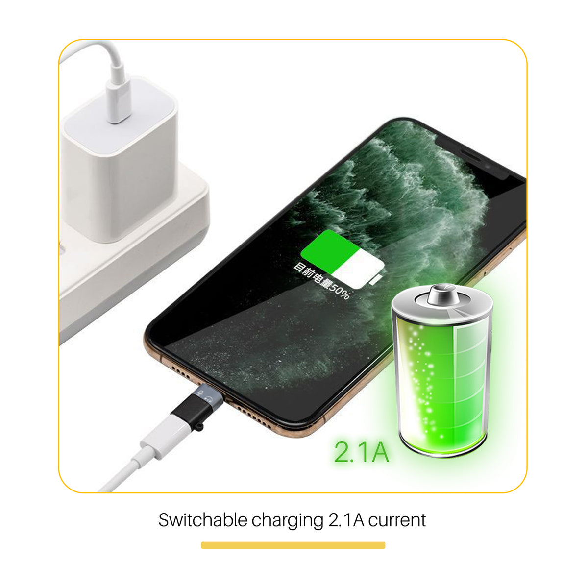 Type C to Lightning Adaptor