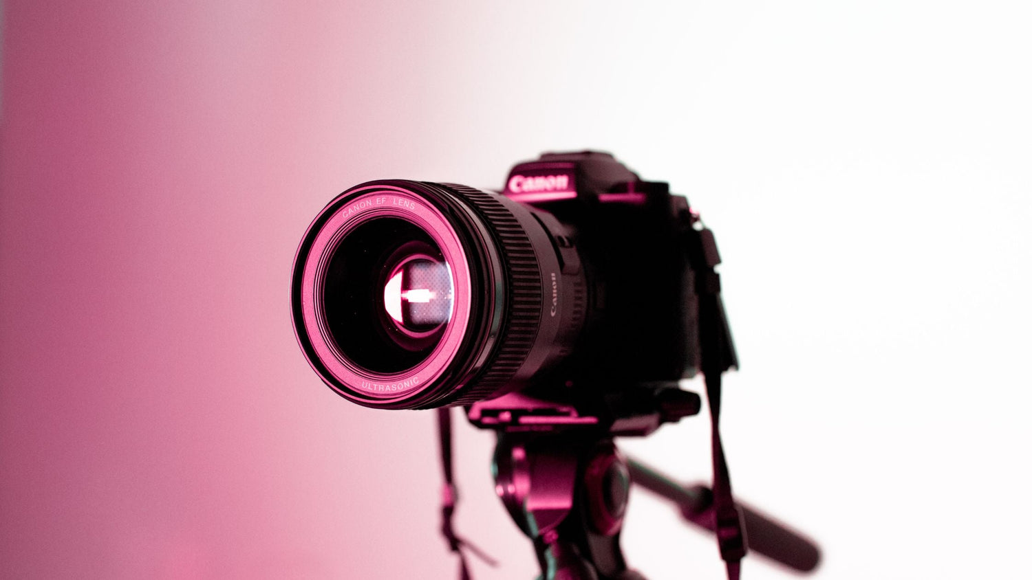 Transform Your Photography Game: Discover Oldshark’s Must-Have Gear for 2025